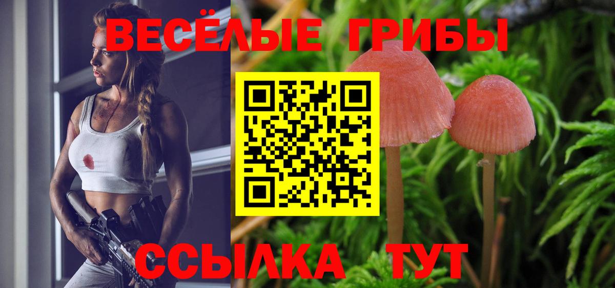 Меф мяу мяу Кинешма