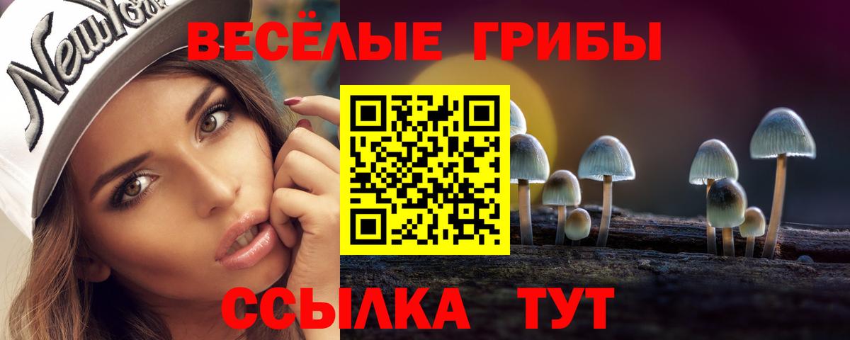Псилоцибиновые грибы ЛСД Кинешма